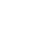 cropped-deeplogo-light.png